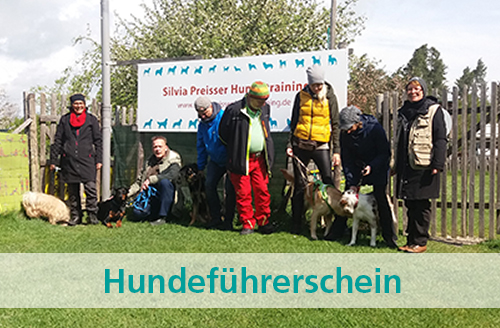 Zur Bildergalerie mit Fotos der Hundeführerscheinprüfungen