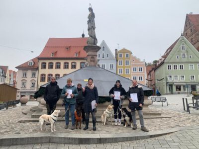 Ein Gruppenbild aller Teilnehmer und deren Hunde in der Landsberger Innenstadt. Sie haben die Hundeführerscheinprüfung bestanden und halten ihre Urkunde in der Hand.