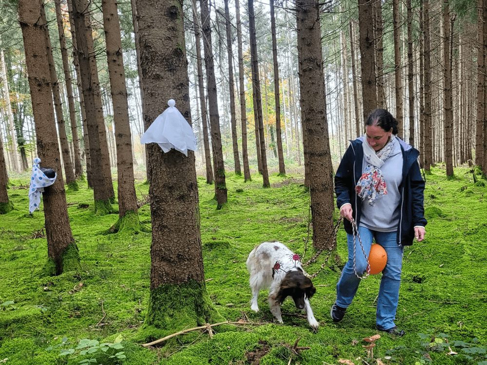 Fotos unserer Halloweentour 2024